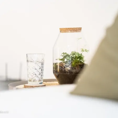 Daire Somnia - Altstadt *