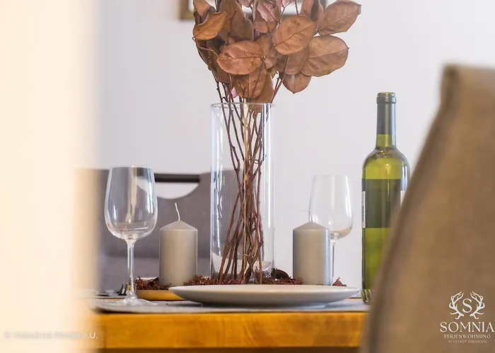 Somnia - Altstadt Gmunden